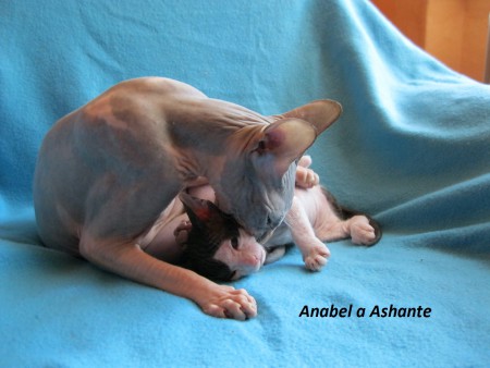 Anabel & Ashante