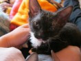 /album/vrh-a/a069-jpg/