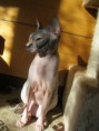 /album/fotogaleria/a168-jpg/