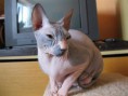 /album/fotogaleria/a185-jpg/